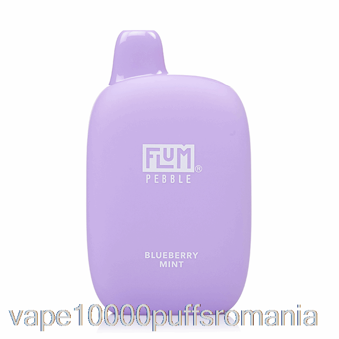 Vape Romania Flum Pebble 6000 De Unica Folosinta Afine Menta